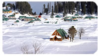 Kashmir Tour Packages