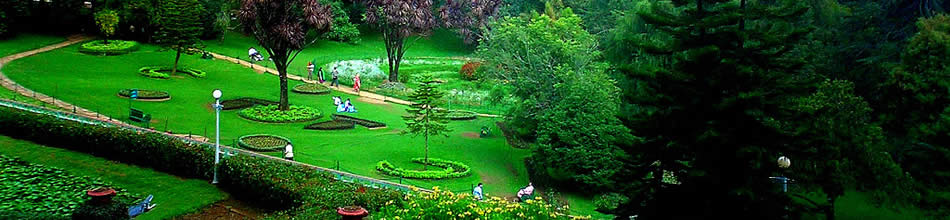 Ooty Summer Tours India,Ooty Summer Tour Operators Delhi India,Ooty Summer Vacations,Ooty Summer Holidays